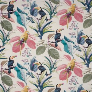 Parakeet Seashell (pts114)
